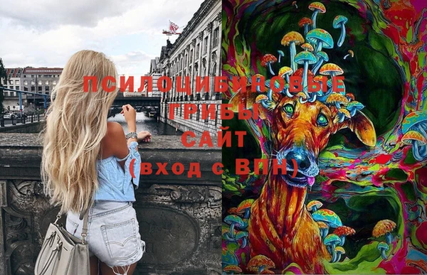 гидропоника Абинск