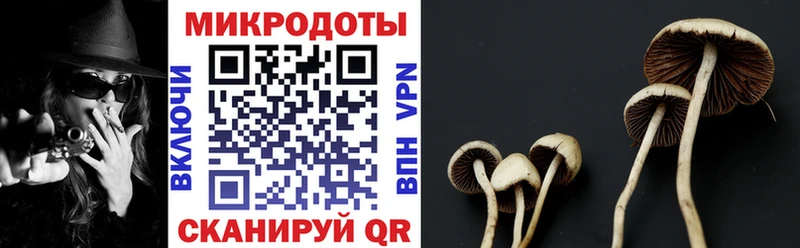 Псилоцибиновые грибы мухоморы  blacksprut маркетплейс  Брюховецкая 